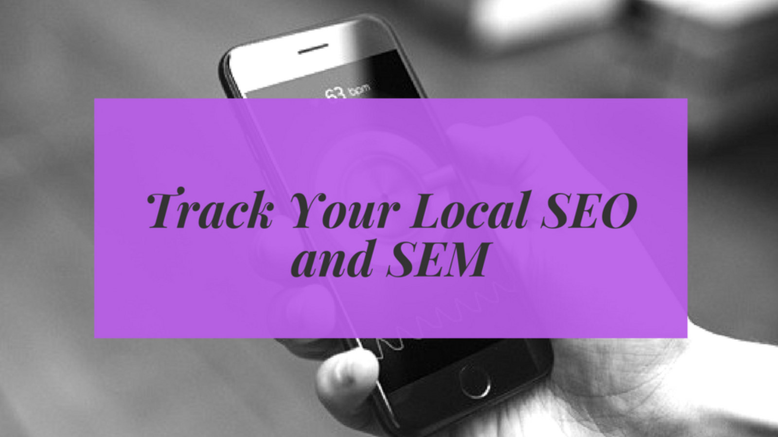 Track Your Local SEO and SEM